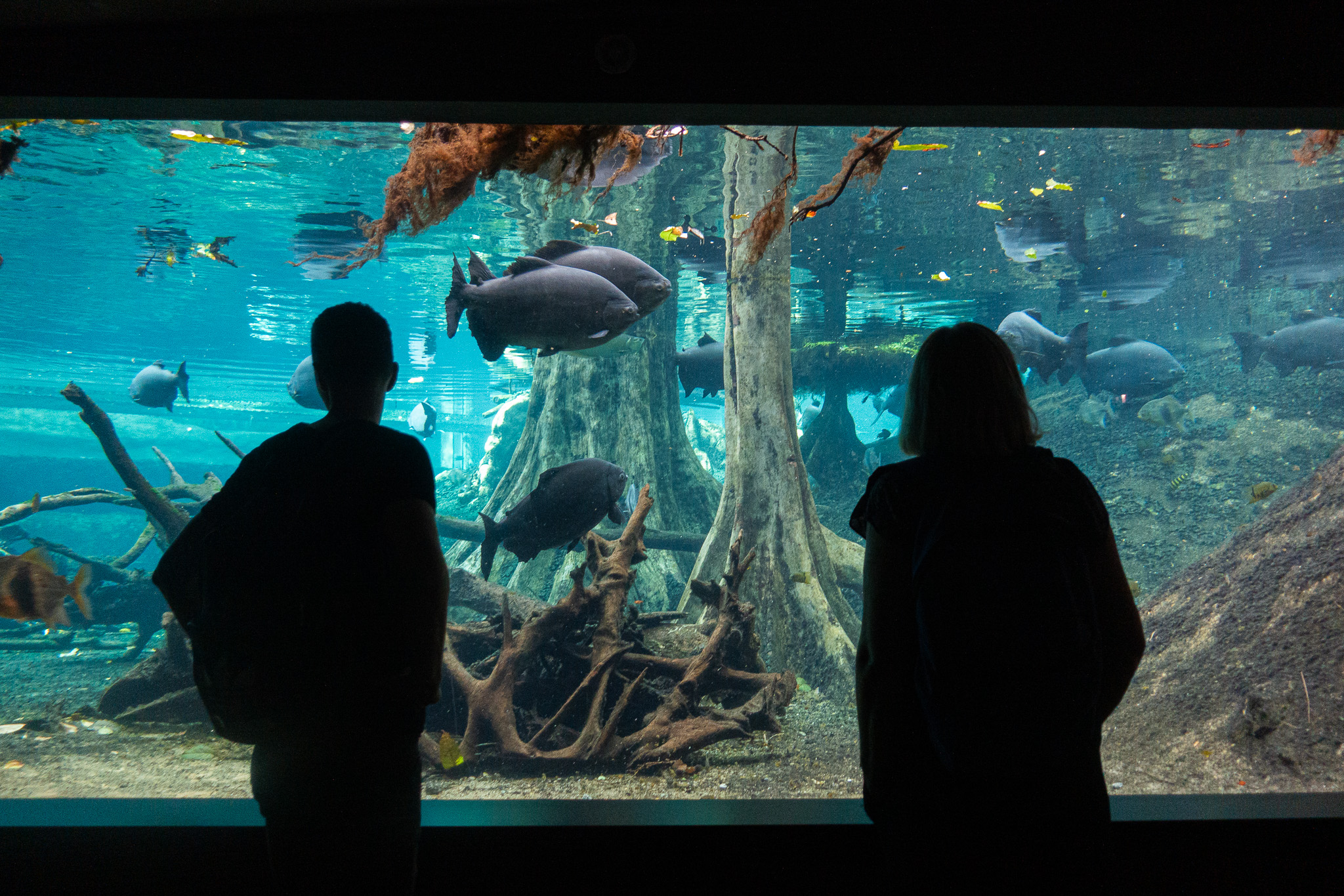 dsc07496 | WebJET CMS