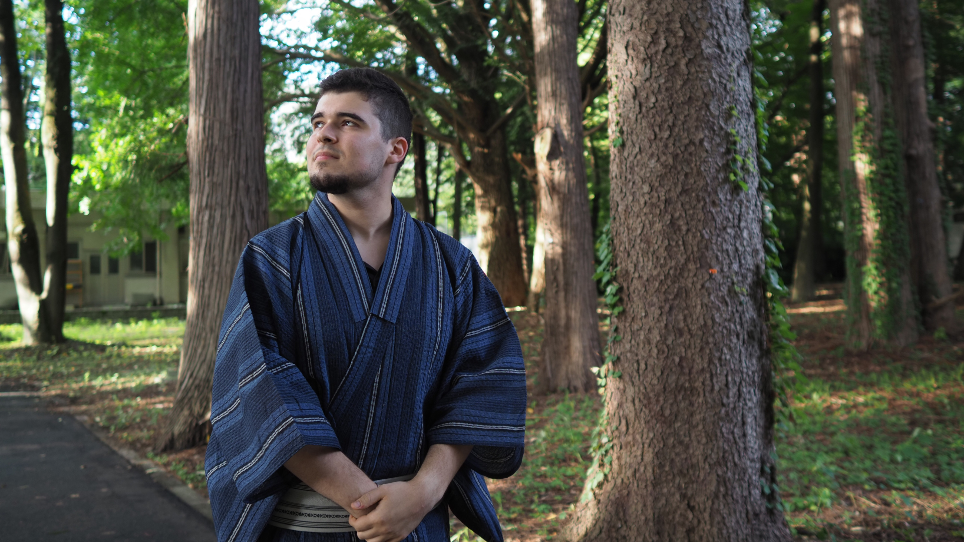 japonsko77 | WebJET CMS