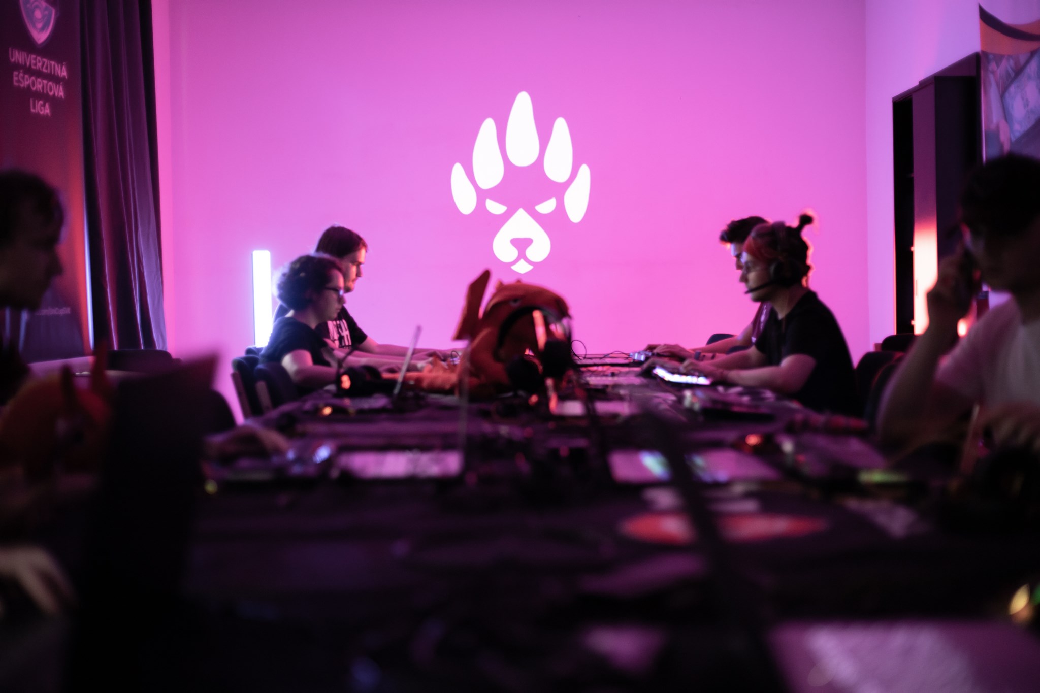 tedi bears | WebJET CMS