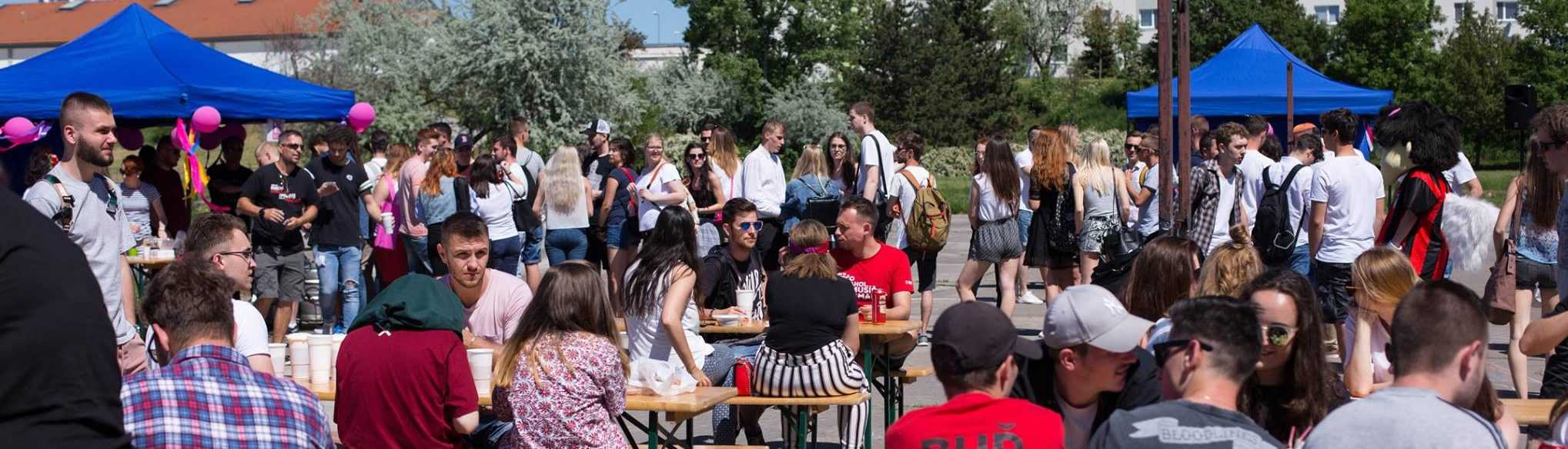 x31632068 10156379933093784 250716426686431232 o e1554733582554 jpg pagespeed ic jz8ut9 bfi | WebJET CMS